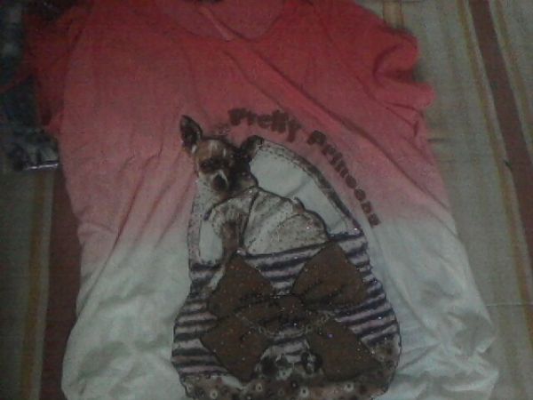 BLUSAS FEMININAS