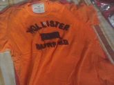 CAMISAS HOLLISTER GOLA NORMAL